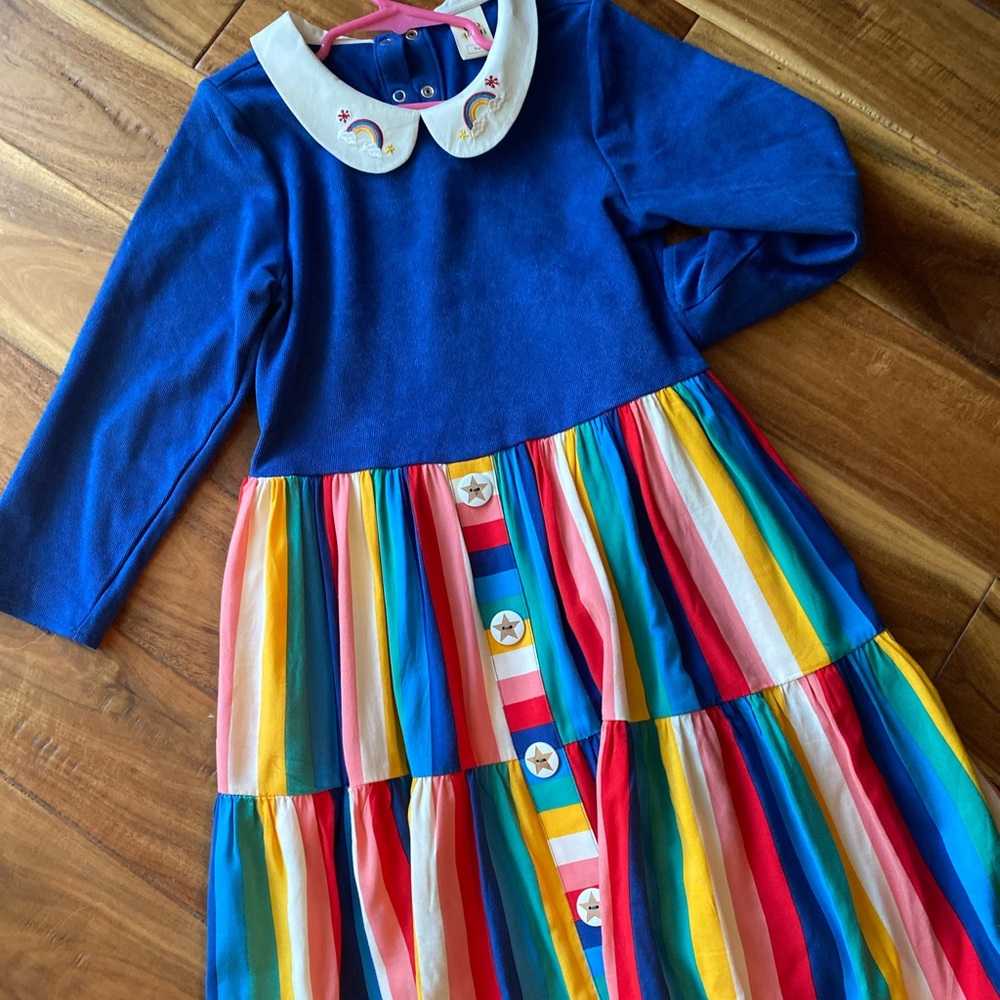 Wildflowers Clothing Science Fair Dress size 12
